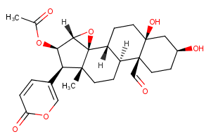 19-Oxocinobufotalin图片