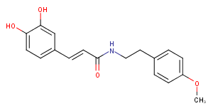 N-Caffeoyl O-methyltyramineͼƬ