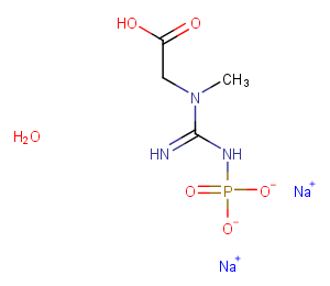 Phosphocreatine disodium hydrate图片