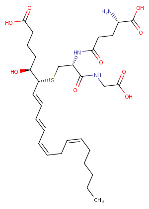 Leukotriene C4ͼƬ