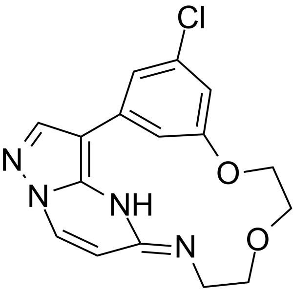 OD36图片