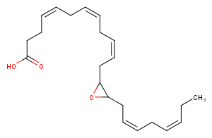 (±)13(14)-EpDPA图片