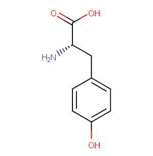 DL-TyrosineͼƬ