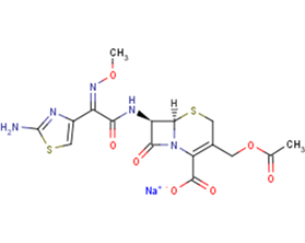 Cefotaxime sodiumͼƬ