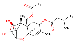 HT-2 ToxinͼƬ