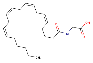 N-ArachidonylglycineͼƬ