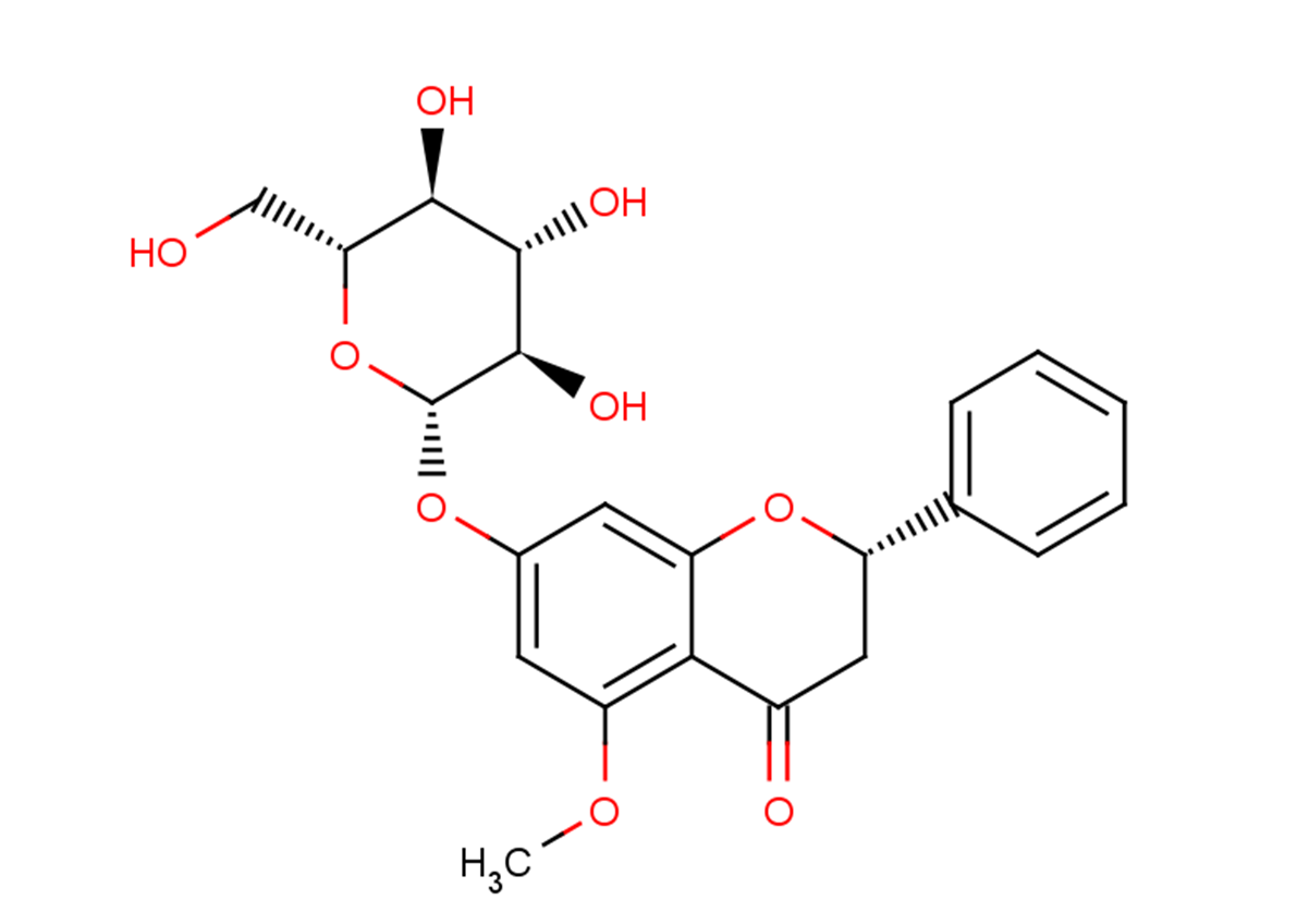 5-MethoxyPinocembrosideͼƬ