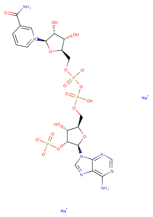 NADP disodium saltͼƬ