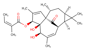 20-Deoxyingenol 3-angelateͼƬ