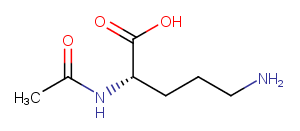 N-AcetylornithineͼƬ