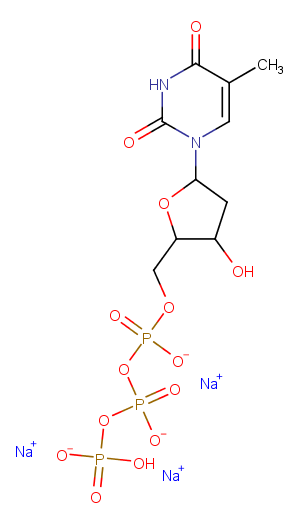 Deoxythymidine triphosphateͼƬ