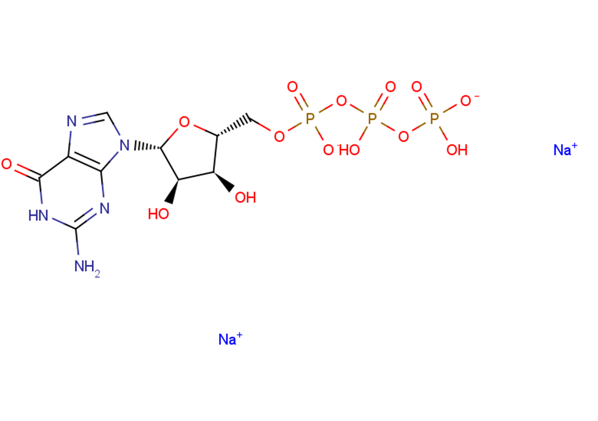 Guanosine-5'-triphosphate disodium saltͼƬ