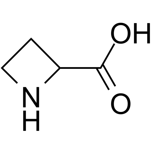 Azetidine-2-carboxylic acidͼƬ