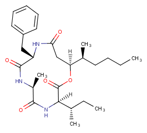 Beauveriolide III图片