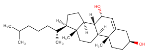 7-HydroxycholesterolͼƬ