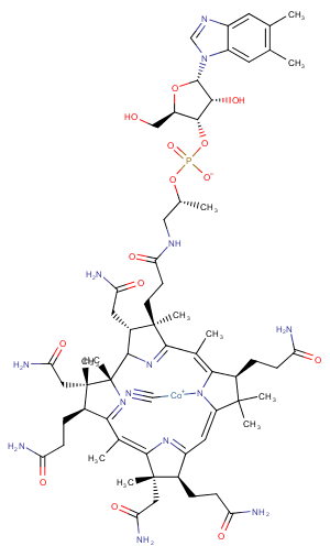 Vitamin B12ͼƬ