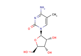 5-MethylcytidineͼƬ