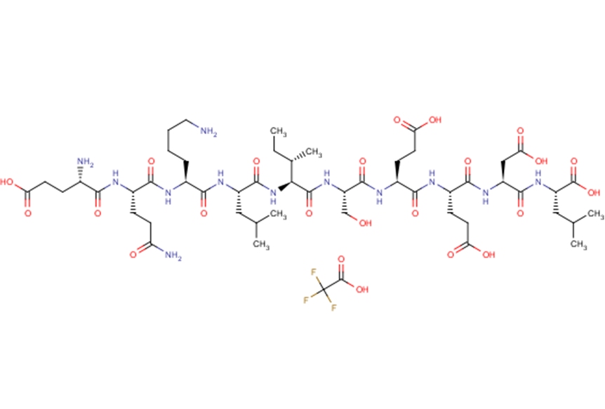 c-Myc Peptide TrifluoroacetateͼƬ