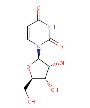 UridineͼƬ