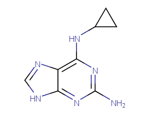 2-Amino-6-cyclopropylamino-9H-purineͼƬ