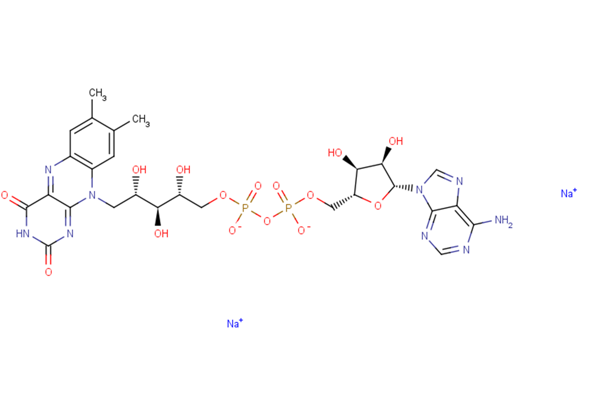 Flavin adenine dinucleotide disodium salt图片