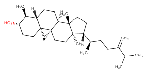 CycloeucalenolͼƬ