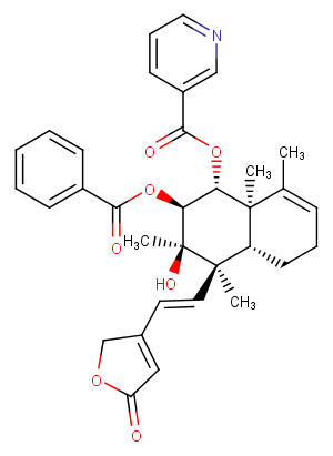 Scutebarbatine BͼƬ