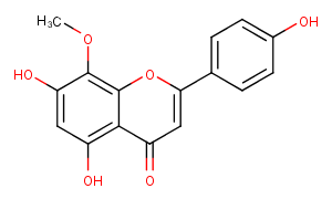 4'-HydroxywogoninͼƬ