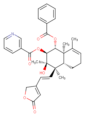 Scutebarbatine Y图片