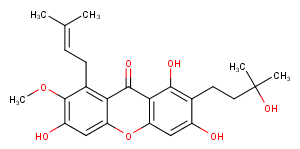 CratoxyloneͼƬ