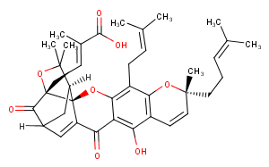 Isogambogic acidͼƬ