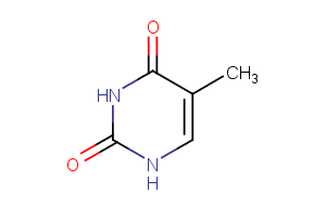 ThymineͼƬ