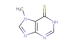 7-Methyl-6-mercaptopurineͼƬ