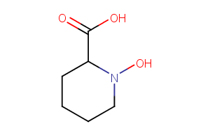 N-Hydroxypipecolic acidͼƬ