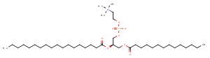 1-Myristoyl-2-stearoyl-sn-glycero-3-phosphocholine图片