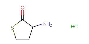 DL-Homocysteine thiolactone hydrochlorideͼƬ