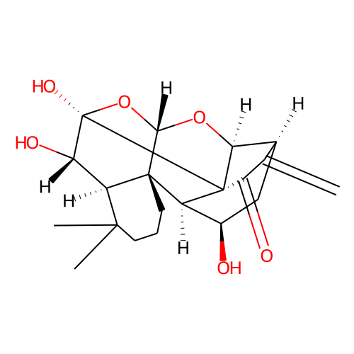 Macrocalin BͼƬ