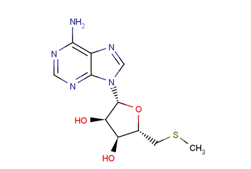 5'-MethylthioadenosineͼƬ