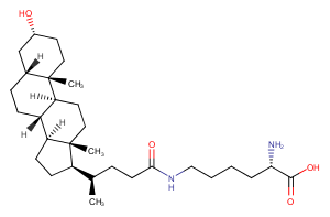 N-epsilon-LithocholyllysineͼƬ