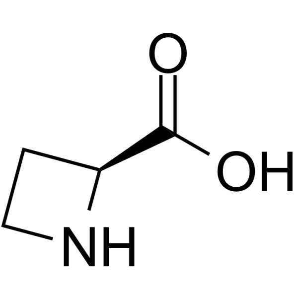 L-Azetidine-2-carboxylic acidͼƬ