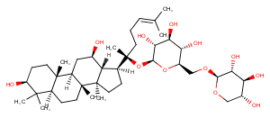 Gypenoside XIII图片