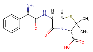 AmpicillinͼƬ