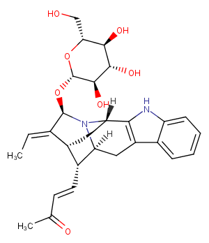 Rauvotetraphylline CͼƬ