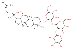 Notoginsenoside Ft1ͼƬ