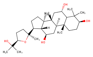 20(S),24(R)-OcotillolͼƬ