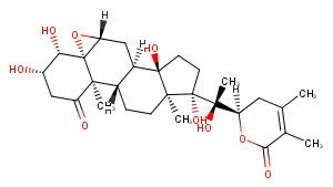 Phyperunolide EͼƬ