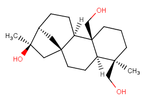 ent-Kaurane-16beta,19,20-triolͼƬ