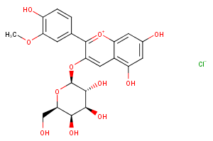 Peonidin-3-O-galactoside chlorideͼƬ