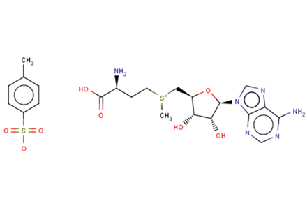 S-(5'-Adenosyl)-L-methionine tosylateͼƬ