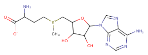 S-Adenosyl-L-methionineͼƬ